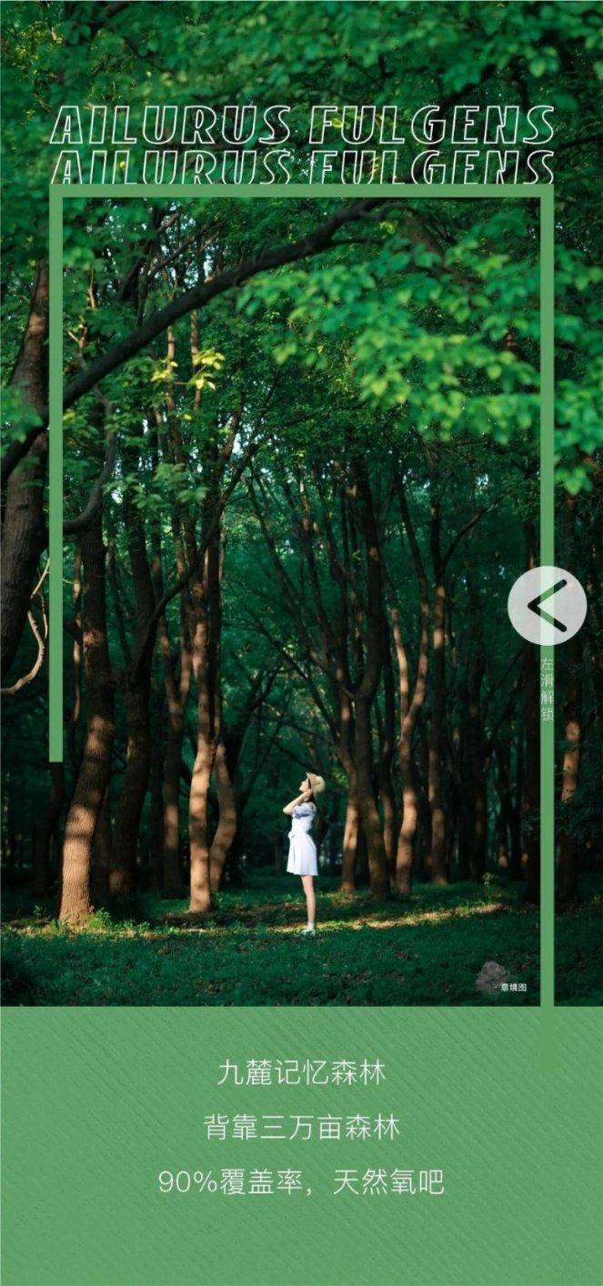 真实的刘禅：坚持信任贤臣，维持蜀汉三十年稳定，为百姓不战而降