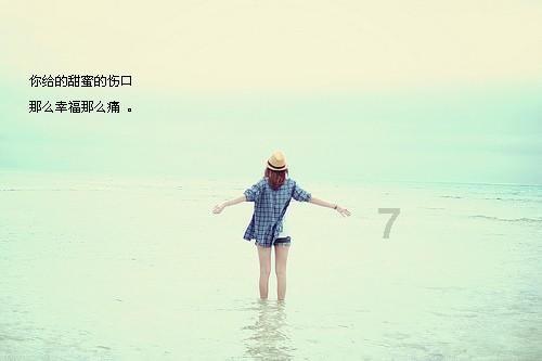 用心用情打侨牌 同行同向强温州