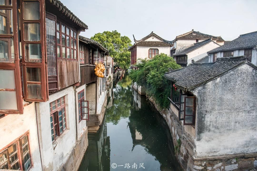 植物大战僵尸2